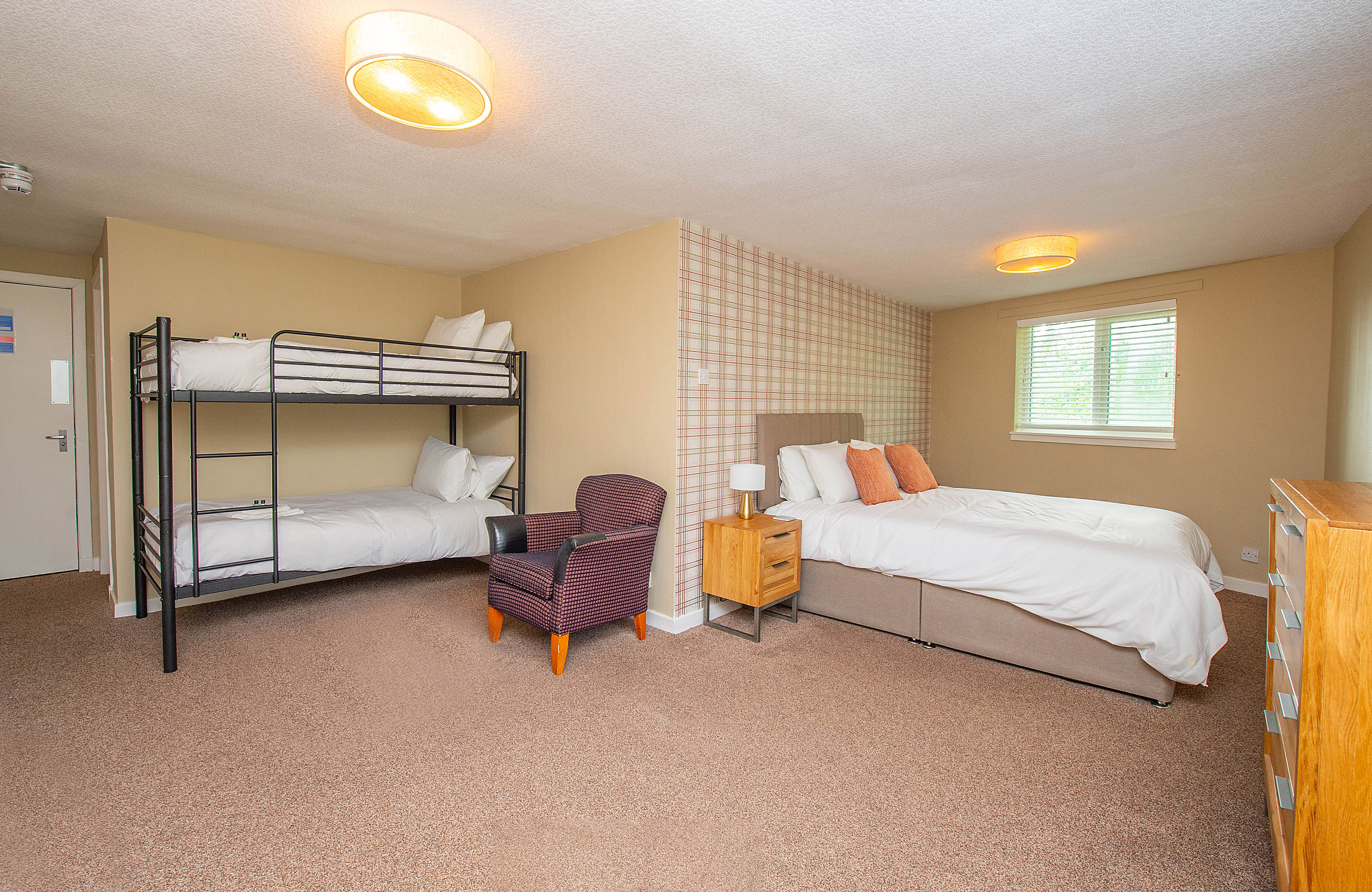 Family Room (2 Adults, 1 Child)