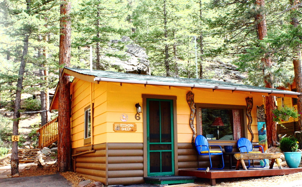 The Bighorn Sheep Cabin Standard