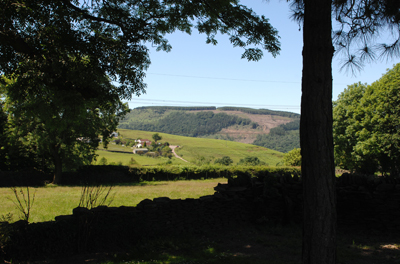 Room Only | Four-Poster Room
