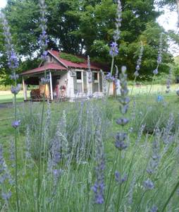 Lavender Cottage