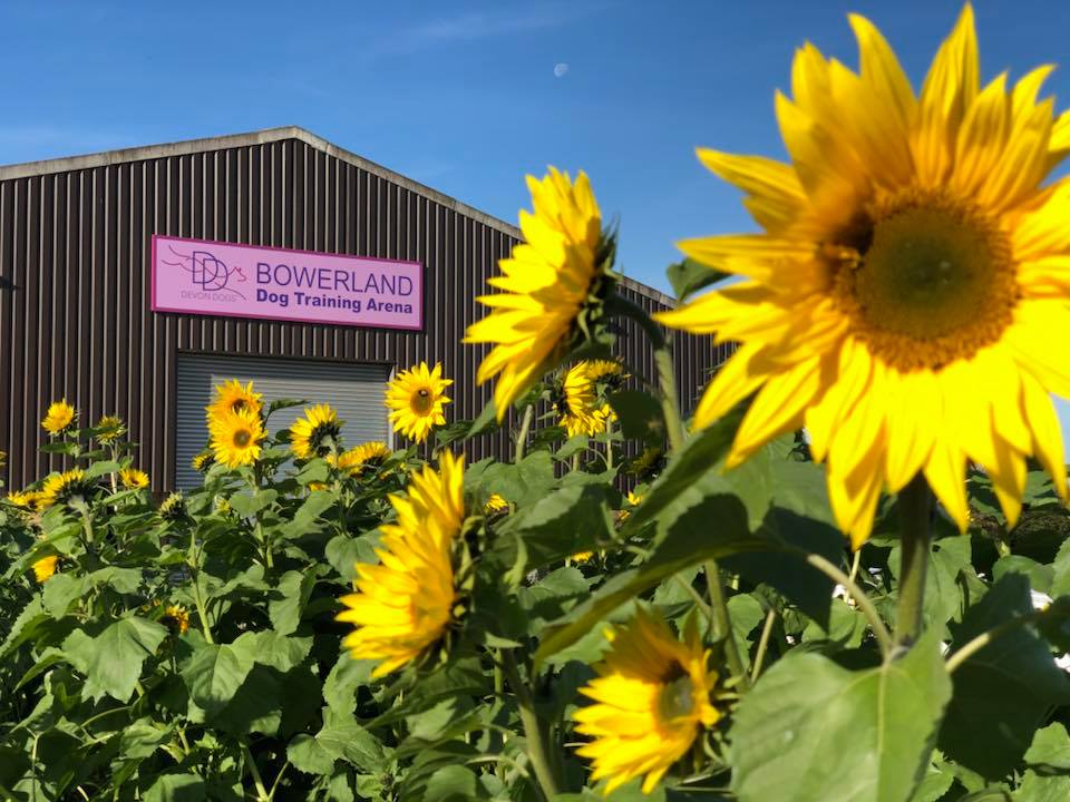 Old Dairy 7 nights + training