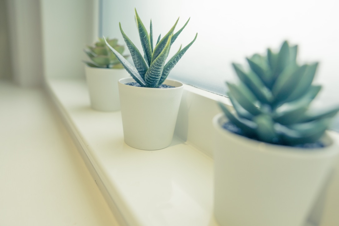 Superior Family Room Morse