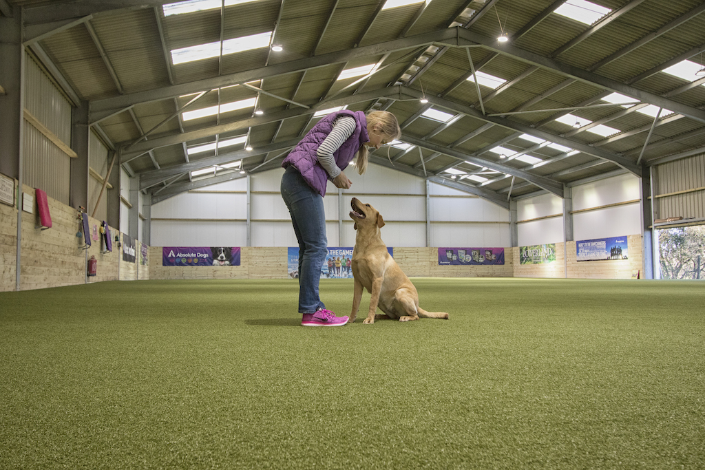 Dartmoor 7 nights + training