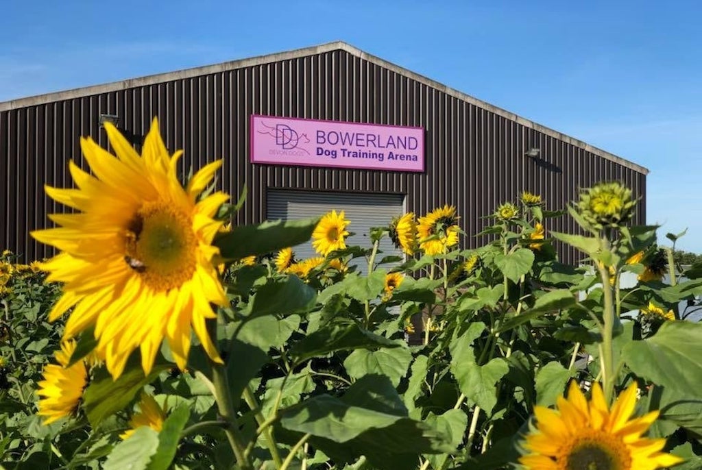 Tor View 3 nights + training