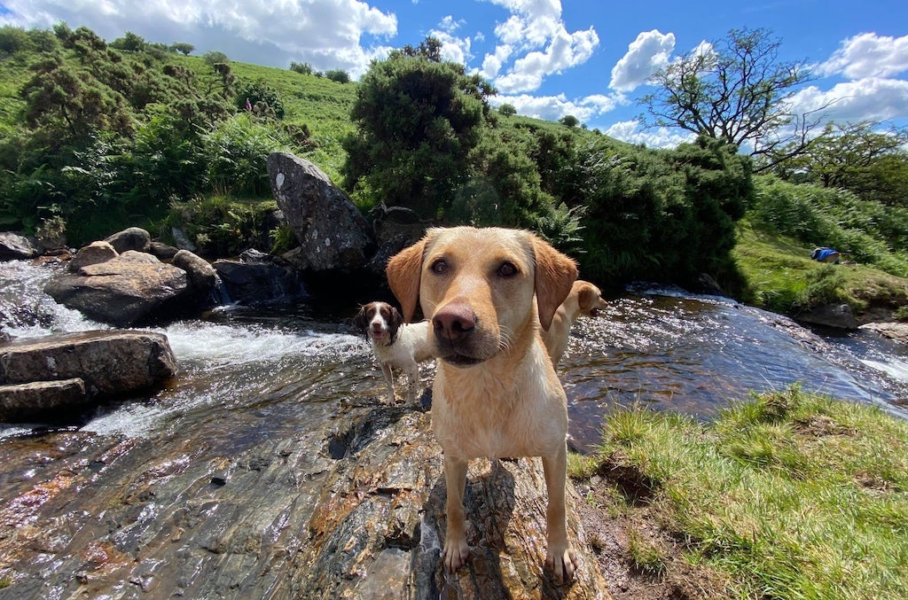 Tor View 3 nights + training